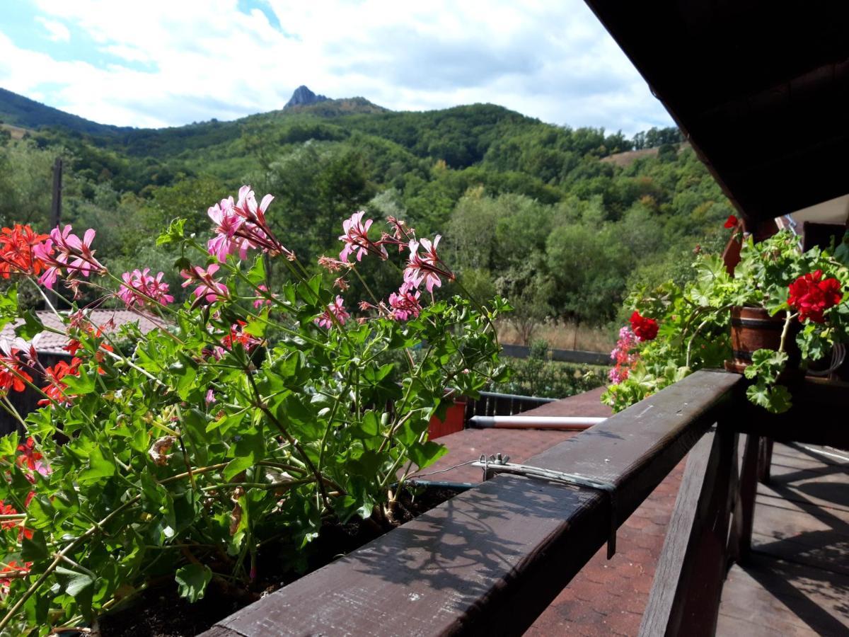 Cabana Poiana Galdei Buitenkant foto