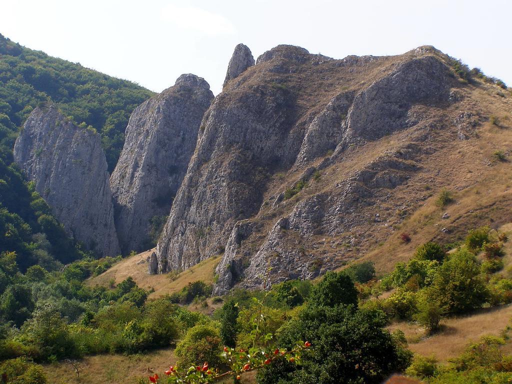 Cabana Poiana Galdei Buitenkant foto