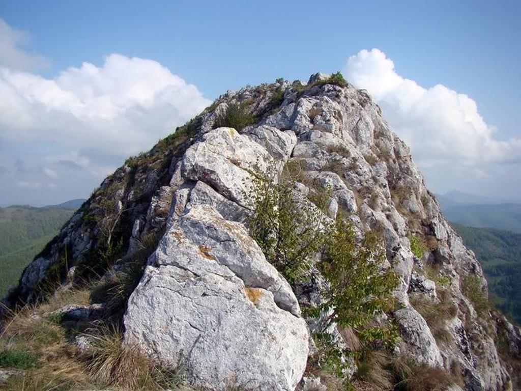 Cabana Poiana Galdei Buitenkant foto