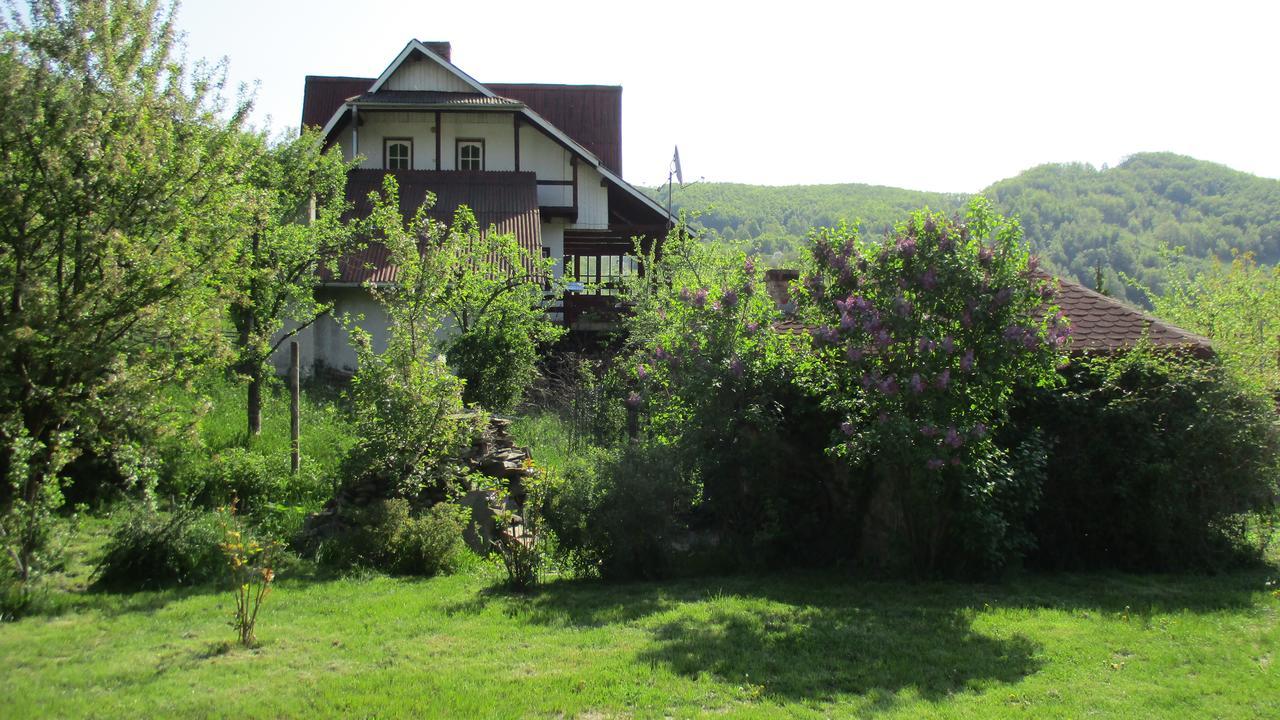 Cabana Poiana Galdei Buitenkant foto
