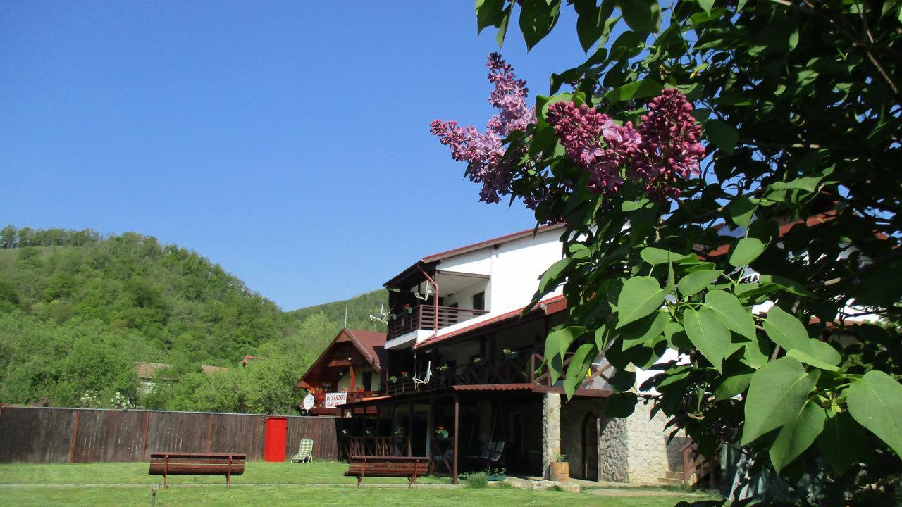 Cabana Poiana Galdei Buitenkant foto