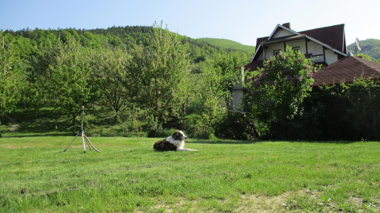 Cabana Poiana Galdei Buitenkant foto